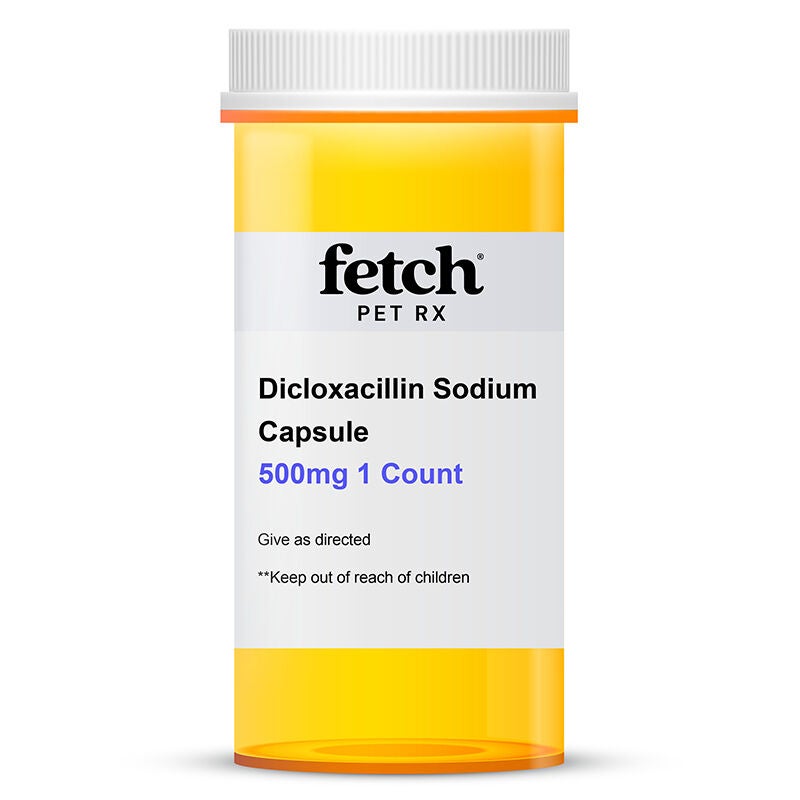 Dicloxacillin Sodium Capsule, 500 mg 1 Count