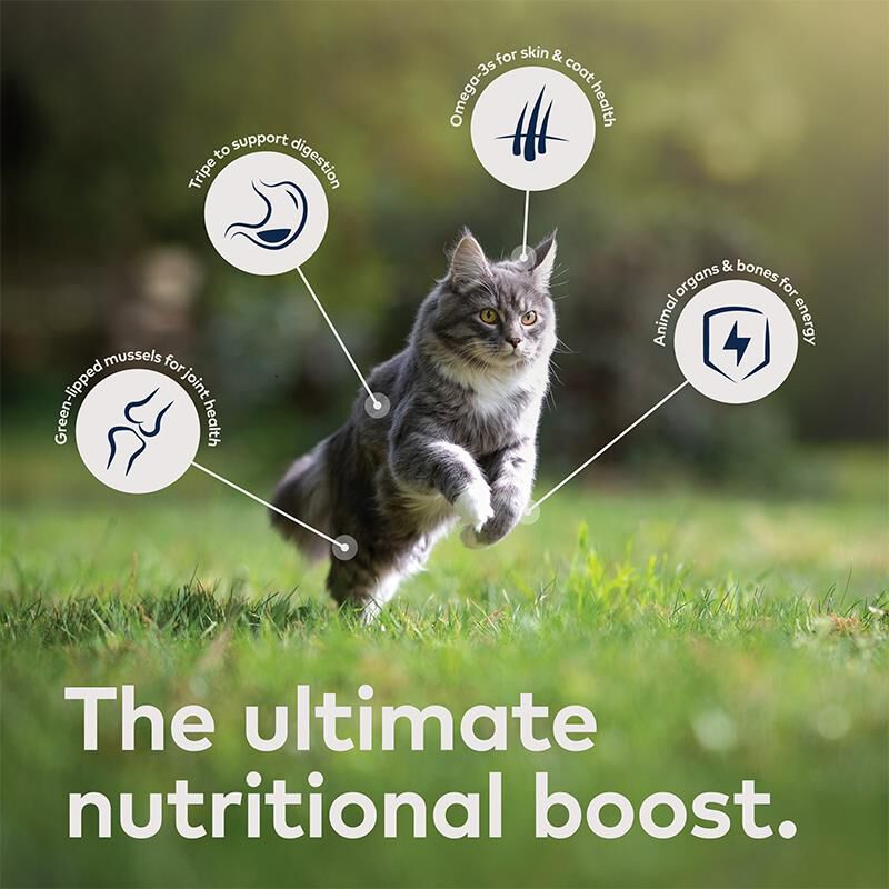 ZIWI Peak Lamb Recipe Canned Cat Food, 12 x 6.5 oz cans