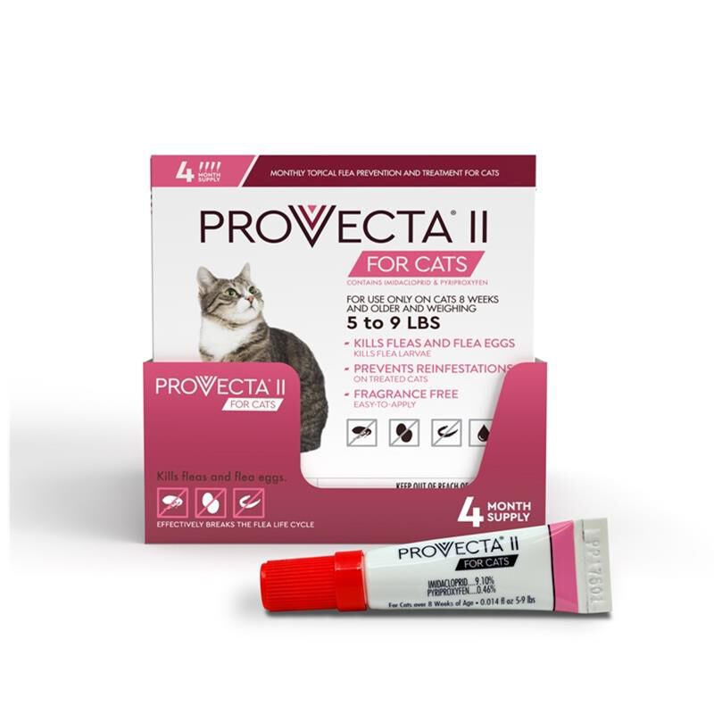 Provecta II for Cats, 4 Doses