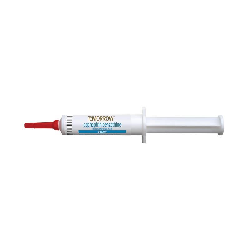 ToMORROW Mastitis Treatment for Dry Cows