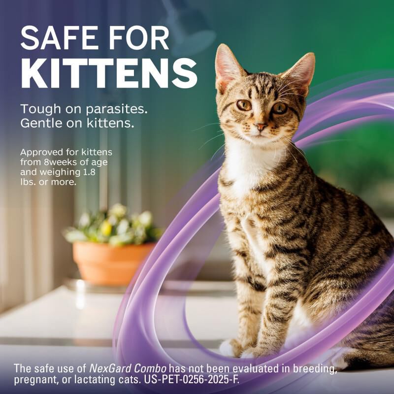 NexGard COMBO Flea, Tick & Heartworm Protection for Cats 1.8 lbs - 5.5 lbs Purple, 6 Month Supply