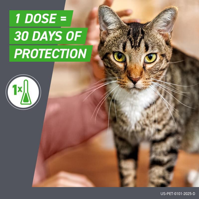 Frontline Plus for Cats 3 Month Supply