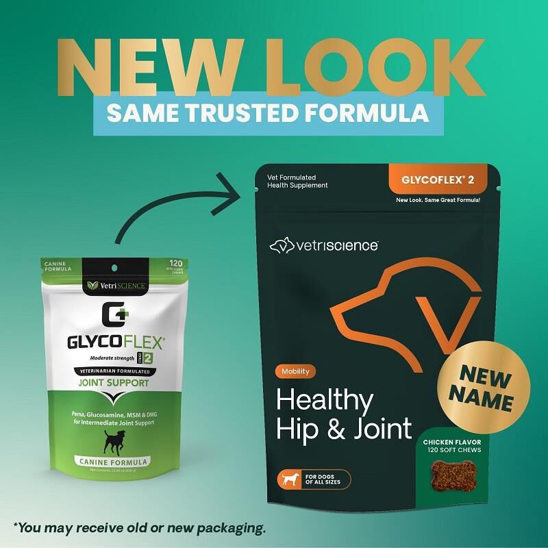 VetriScience Healthy Hip & Joint GlycoFlex 2 Soft Chews for Dogs, 120 ct