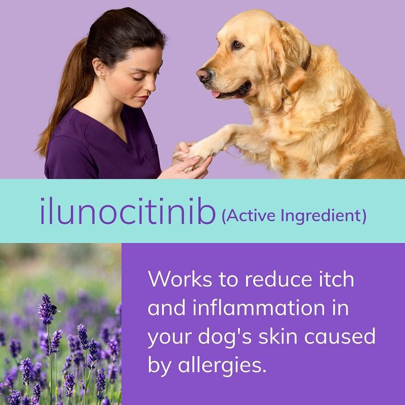 Zenrelia (ilunocitinib) Tablets for Dogs