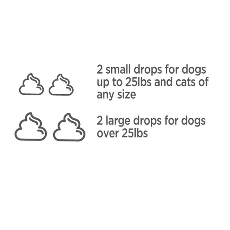Vetality Brush Free Oral Gel for Cats, 25 G