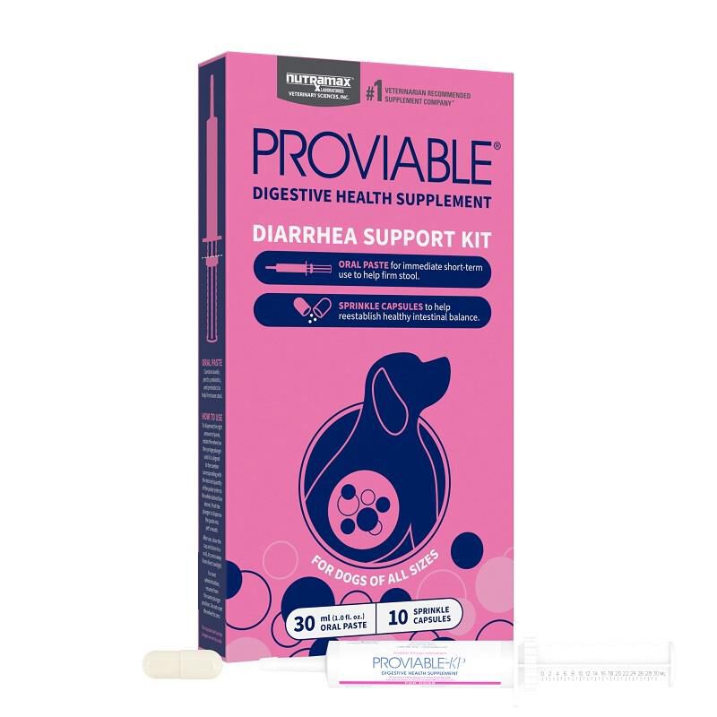 Proviable KP Paste + 10 Caps for Dogs and Cats