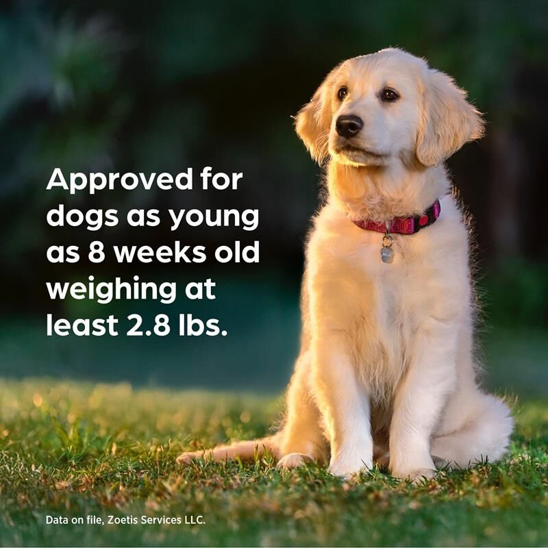 Simparica Trio Chewable Tablets for Dogs 44.1-88 lbs Green, 3 Month Supply