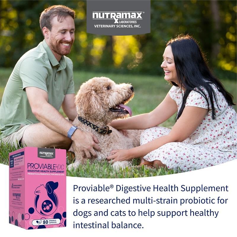 Proviable-DC  for dogs and cats 80 Capsules