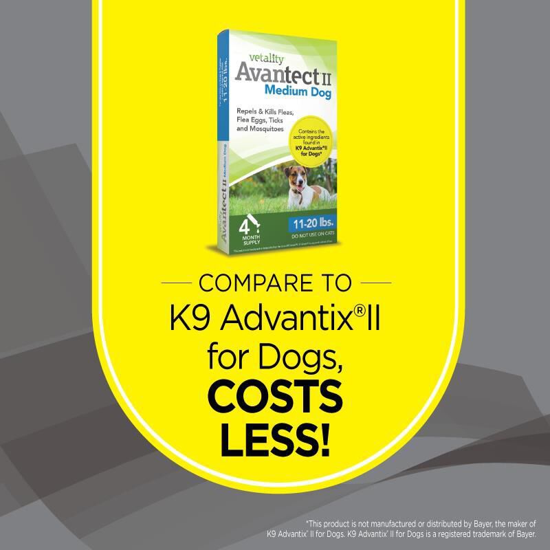 Vetality Avantect II for Dogs