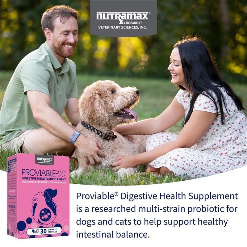 Proviable-DC for Dogs and Cats