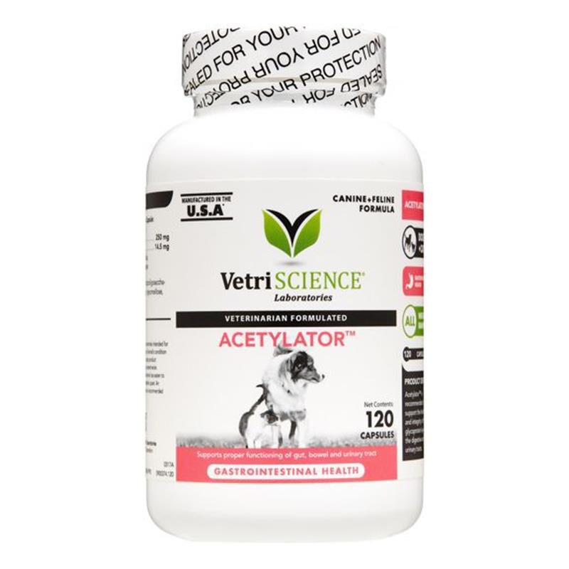 Buy VetriScience Healthy Gut Digestion Acetylator, 120 Caps