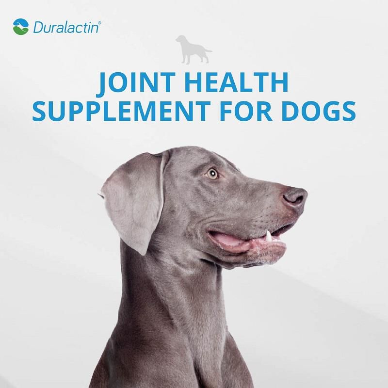 Duralactin Canine Joint Plus Soft Chews, 60 Ct.