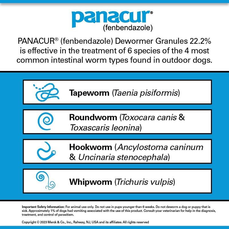 Panacur Dewormer Granules 22.2%, 1 lb