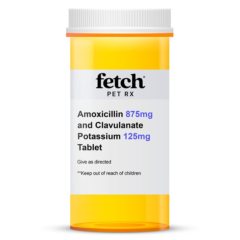 Amoxicillin 875 mg and Clavulanate Potassium 125 mg Tablet