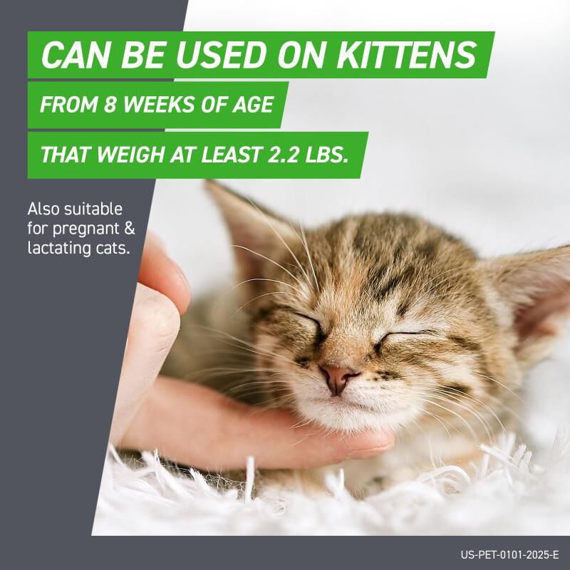 Frontline Plus for Cats and Kittens