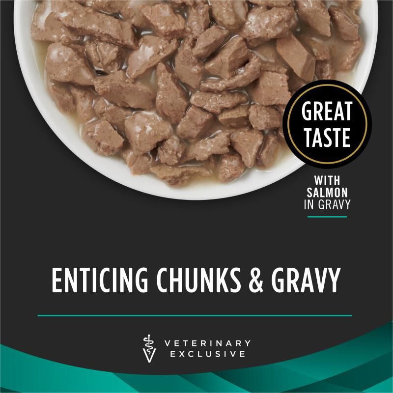 Purina Pro Plan Veterinary Diets EN Gastroenteric Savory Selects Salmon in Gravy Wet Cat Food, 24 x 3 oz cans