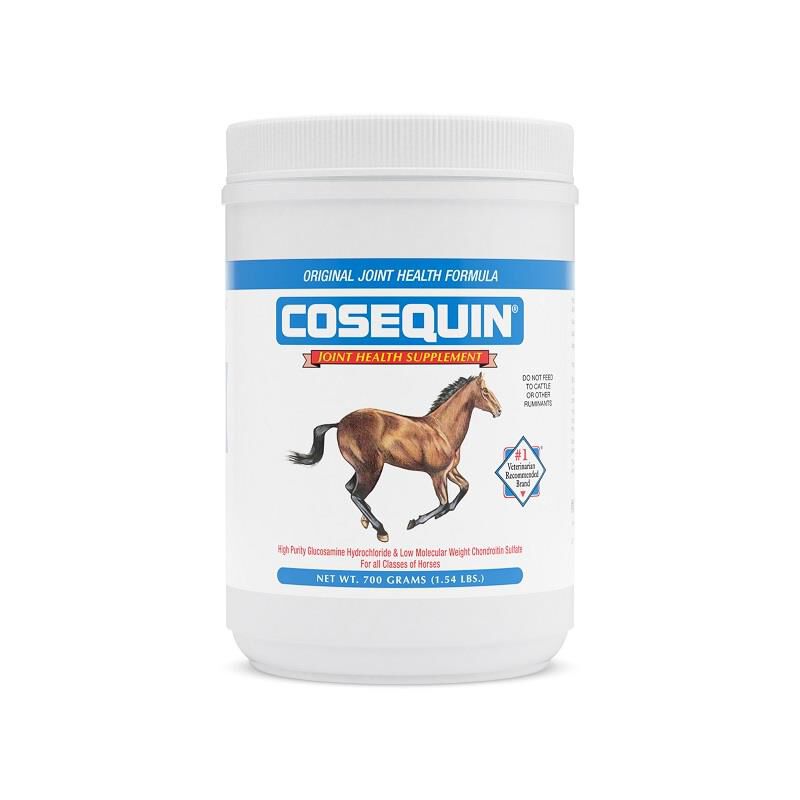 Cosequin Powder, 700 gm