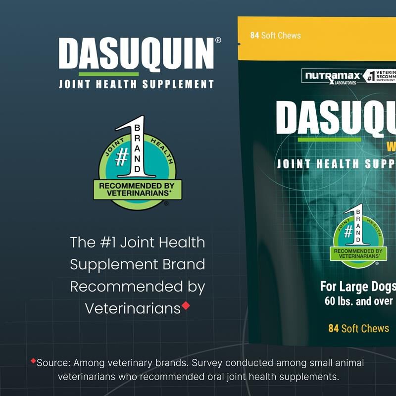 Dasuquin Soft Chews with MSM Large Dogs over 60 lbs 84 Ct.