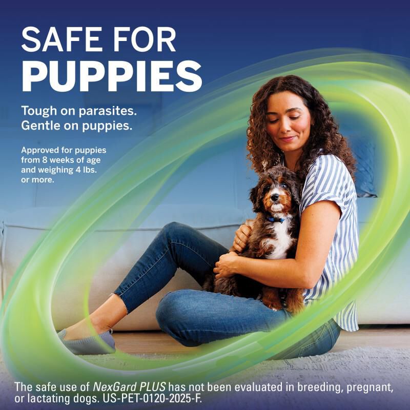 NexGard PLUS Chewables for Dogs 66.1-132 lbs Red 6 Month Supply
