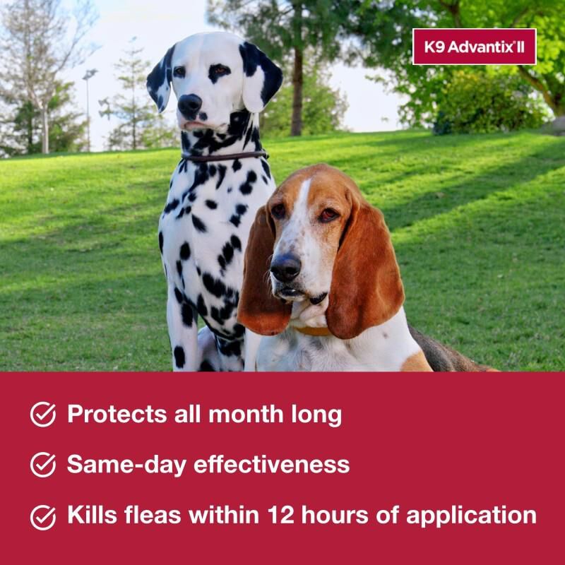 K9 Advantix II for Dogs Up to 10 lb Green, 1 Month Supply