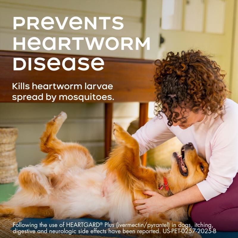 Heartgard Plus Chewable for Dogs 51-100 lbs Brown, 6 Month Supply