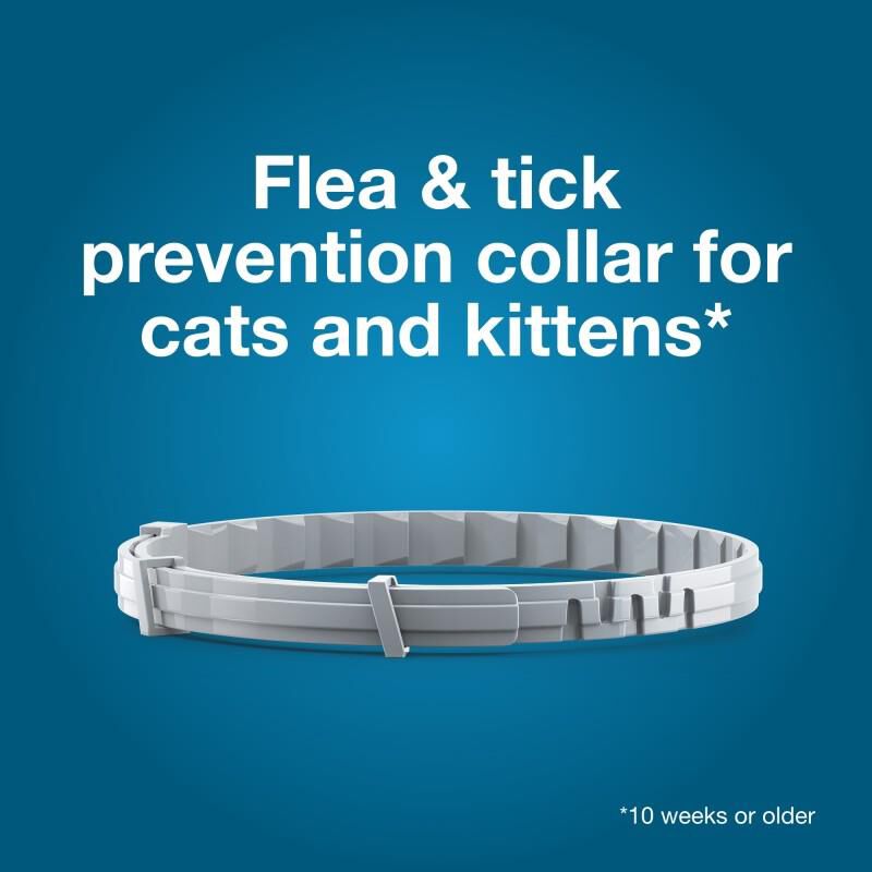 Seresto Flea and Tick Prevention Collar for Cats, 8 month flea and tick prevention