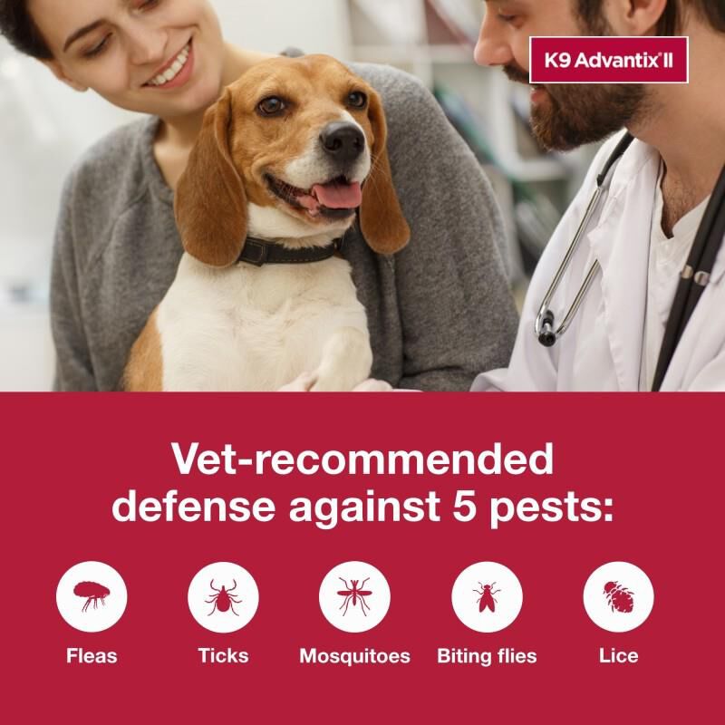 K9 Advantix II for Dogs Up to 10 lb Green, 1 Month Supply
