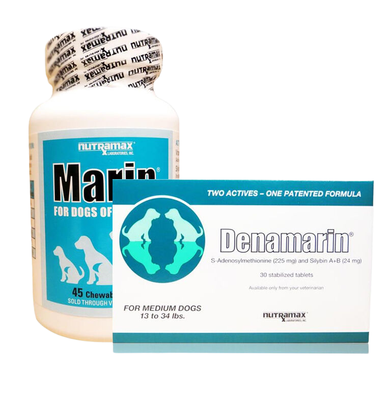 Dog liver support
