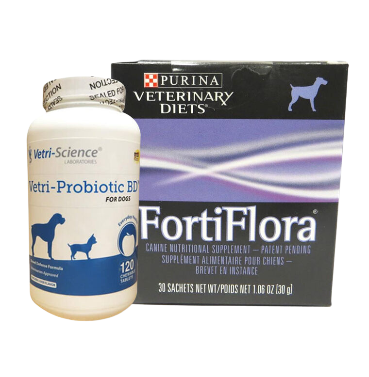 Dog probiotics