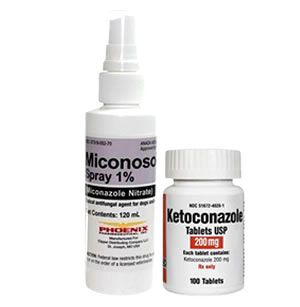 Cat fungal & yeast medication