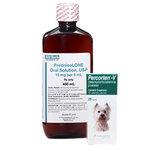 Dog Addison's disease