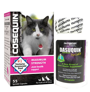 Cat joint care