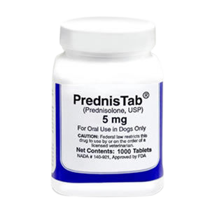 Dog ulcer colitis medications
