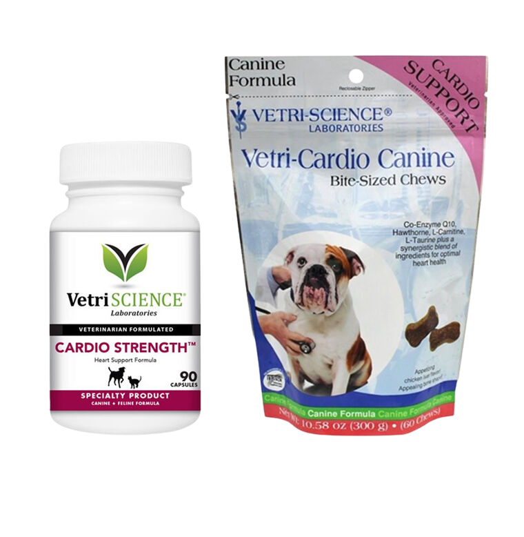 Dog heart support