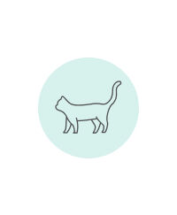 Cat care