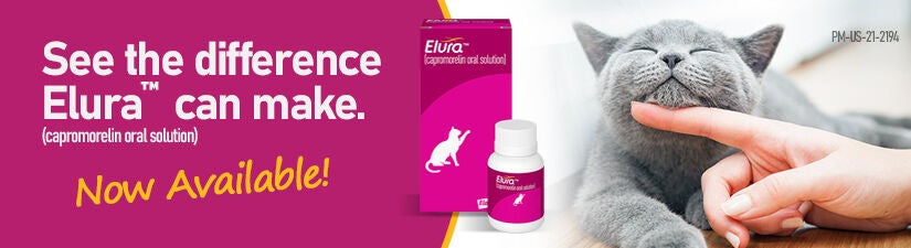 Cat urinary & kidney medication