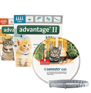 Cat topical spot-on flea & tick control
