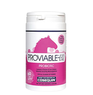 Horse probiotics