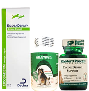 Dog skin & allergy