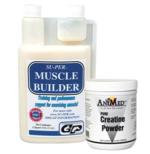 Horse muscle builders