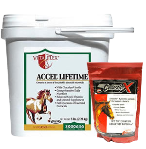 Horse immune supplements