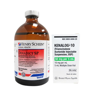 Horse anti-inflammatory & pain