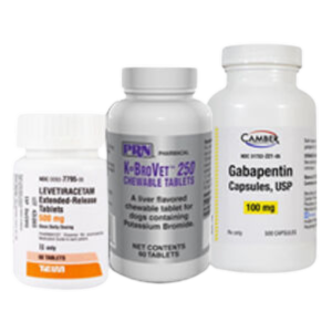 Epilepsy & seizure