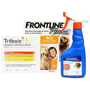 Dog flea & tick