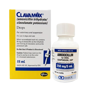 Cat antibiotics