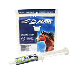 Horse allergy respiratory