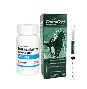 Horse gastric ulcer colitis