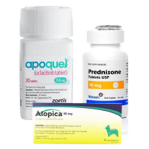 Allergy & antihistamines