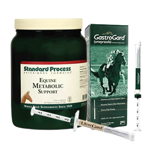 Horse digestive & ulcer