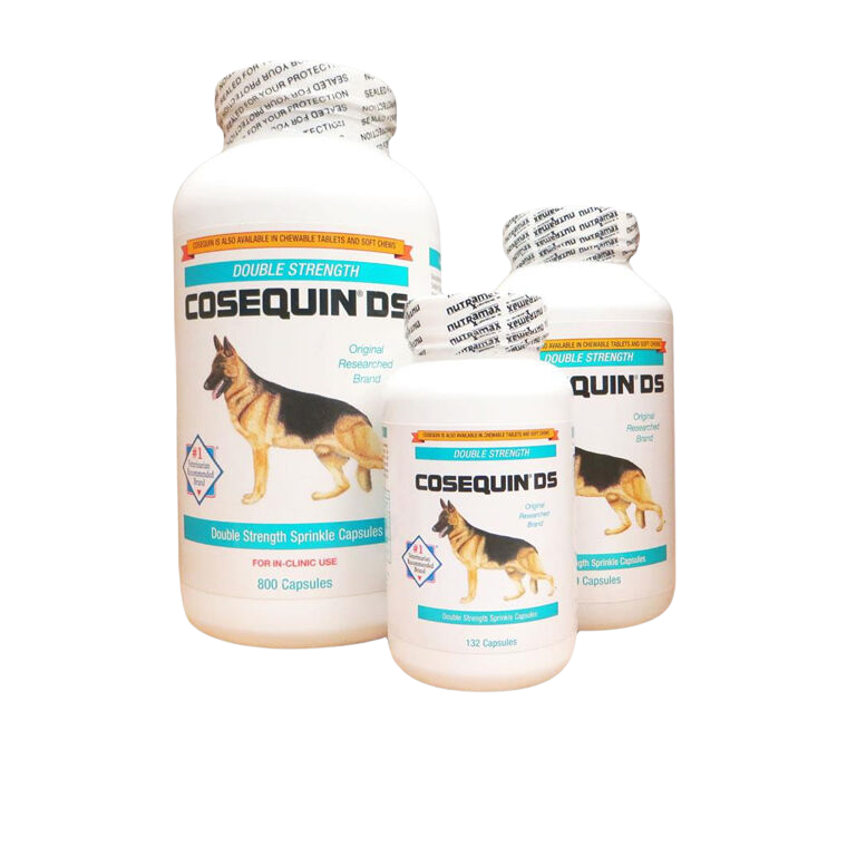Dog joint supplements